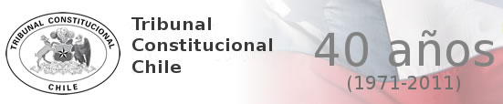 Tribunal Constitucional rechaza recurso de parejas homosexuales
